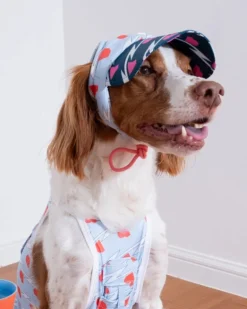 Lightning Dog Cooling Sun Cap