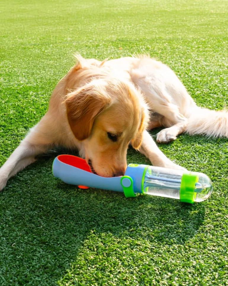 Lil' Gulp Dog Water Bottle
