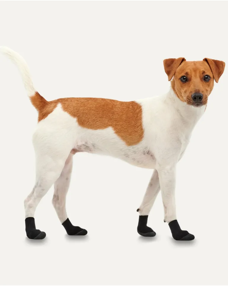 LITES All Season Dog Booties (in Black or Khaki)