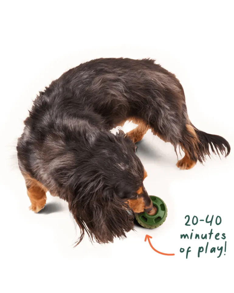 Long Lasting Pupsicle Refill Pops (Made in the USA)