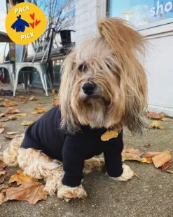 Long-Sleeve Pullover Stretch Dog Fleece in Black (Made in the USA, Dog & Co. Exclusive!)