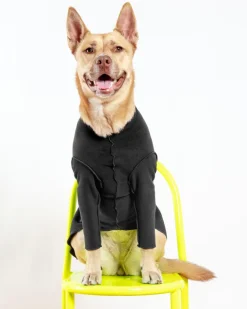 Long-Sleeve Pullover Stretch Dog Fleece in Black (Made in the USA, Dog & Co. Exclusive!)