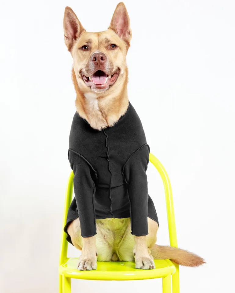 Long-Sleeve Pullover Stretch Dog Fleece in Black (Made in the USA, Dog & Co. Exclusive!)