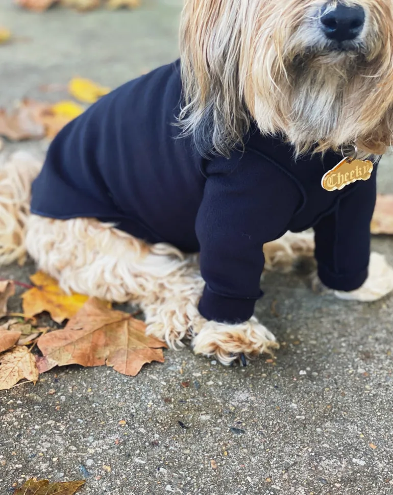 Long-Sleeve Pullover Stretch Dog Fleece in Black (Made in the USA, Dog & Co. Exclusive!)