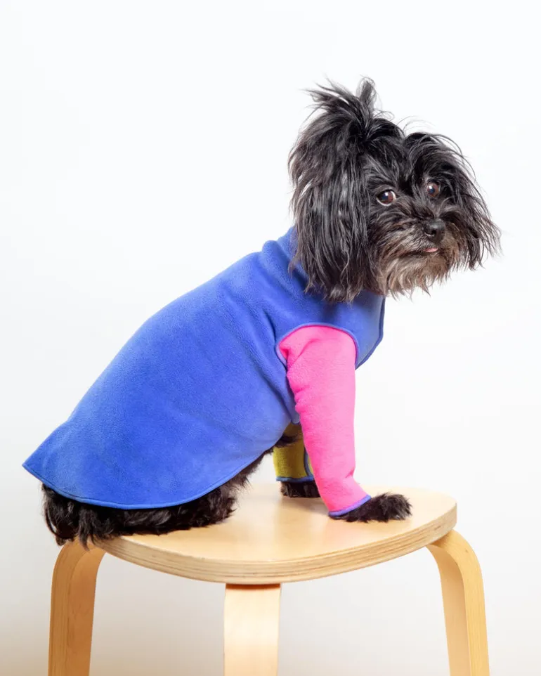 Long-Sleeve Stretch Fleece in Crazy for the 80s (Made in the USA) (DOG & CO. + GOLD PAW Exclusive!)