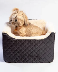 Lookout Dog Car Seat (Made in the USA) (Direct-Ship)