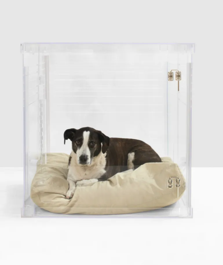 Lucite Crate-to-Gate (Made in the USA) (Direct-Ship)