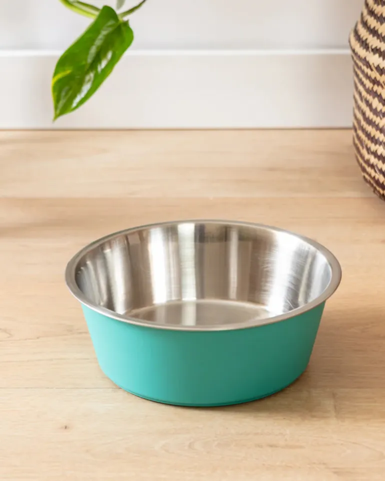 Malmo Stainless-Steel Pet Bowl in Teal (FINAL SALE)