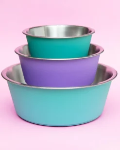 Malmo Stainless-Steel Pet Bowl in Teal (FINAL SALE)