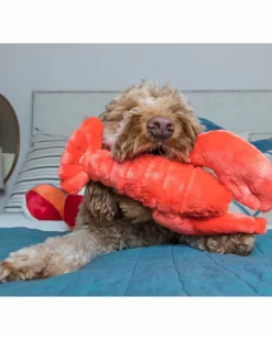 Manny the Lobster Plush Dog Toy