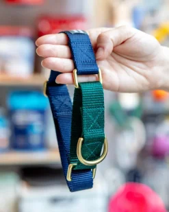 Martingale Dog Collar in Navy + Evergreen (Made in the USA)