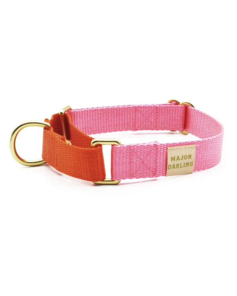 Martingale Dog Collar in Pink + Orange (Made in the USA)