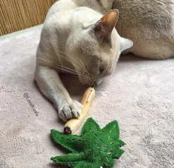 Meowy Wowy Cat Toy (Made in the USA)