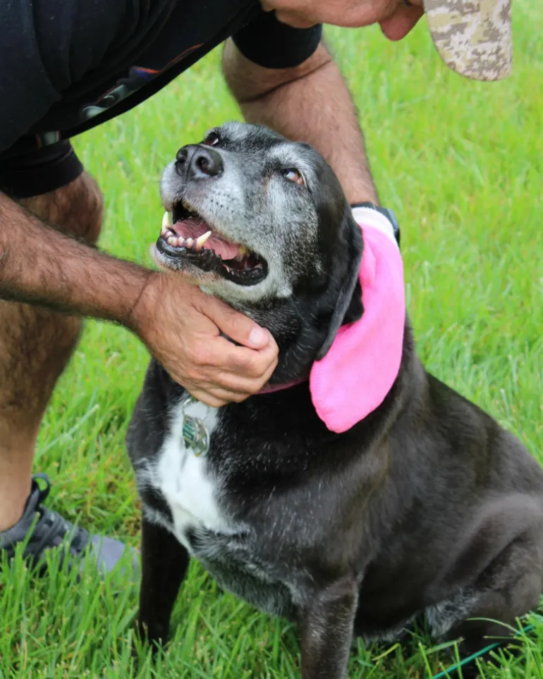 Microfiber Tick Mitt for Humans & Pets
