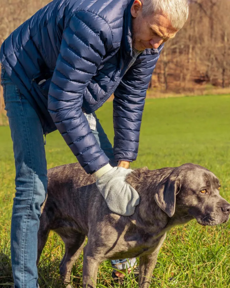 Microfiber Tick Mitt for Humans & Pets