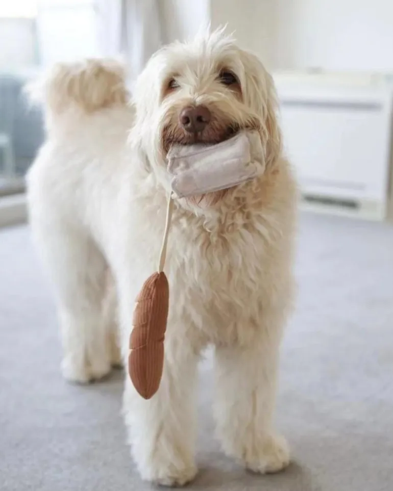 Mini Baguette Nosework Squeaky Dog Toy
