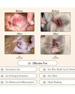 Miracle Mist Dog Ear Cleaner