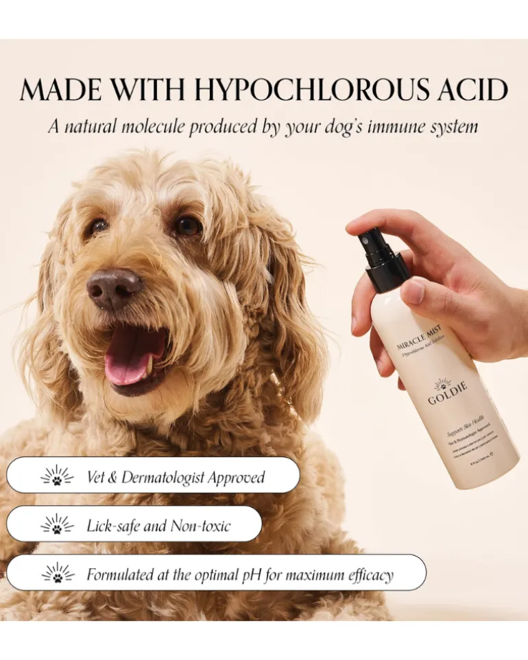 Miracle Mist Hypochlorous Acid Spray for Dogs (3.4oz)