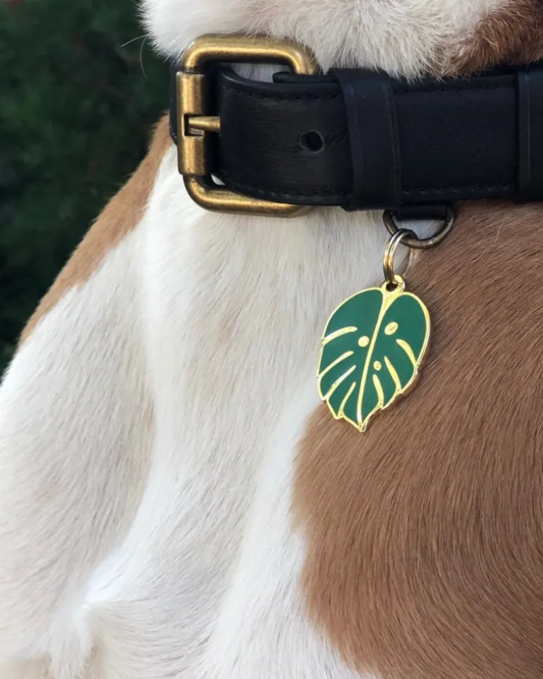 Monstera Deliciosa ID Tag (Custom/Drop-Ship)