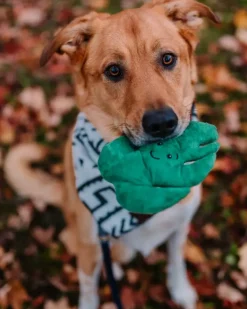 Monstera Recycled Squeaky + Crinkle Dog Toy