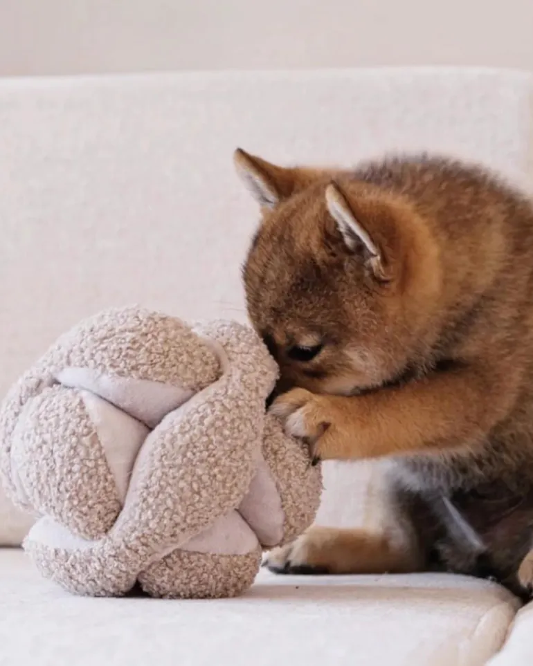 Monti Snuffle Ball Dog Toy