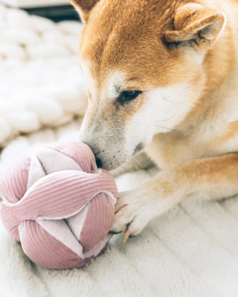 Monti Snuffle Ball Dog Toy