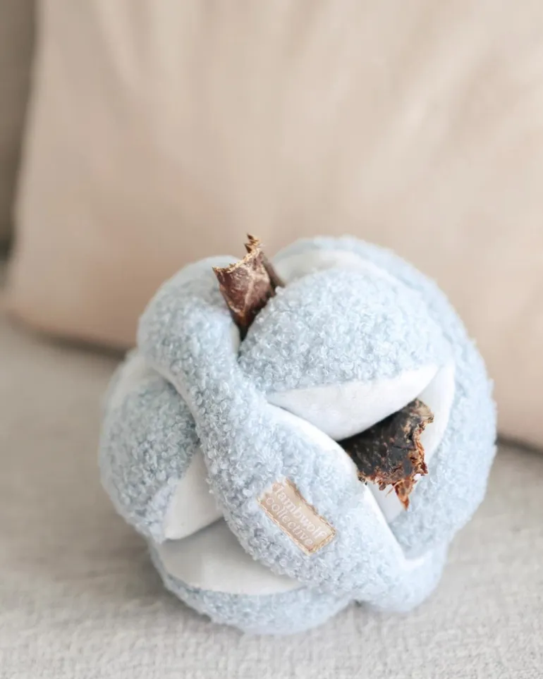 Monti Snuffle Ball Dog Toy