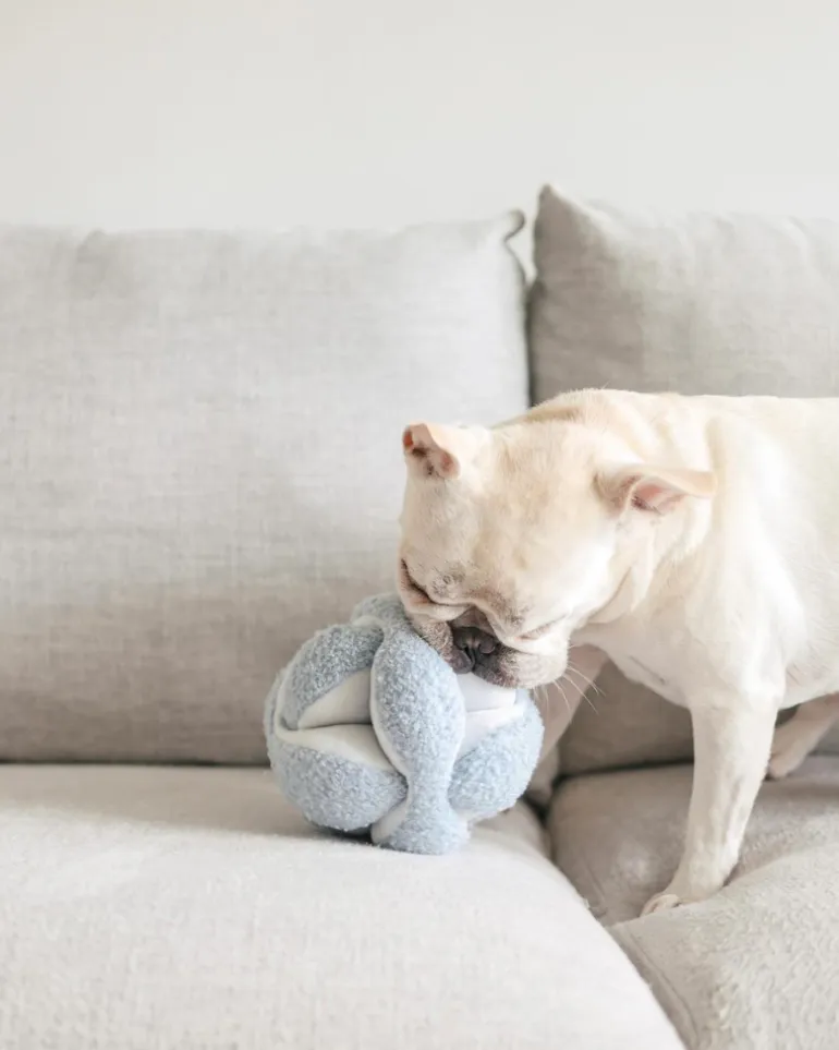 Monti Snuffle Ball Dog Toy