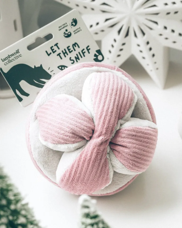 Monti Snuffle Ball Dog Toy