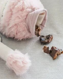Nail Polish Burrow + Crinkle Dog Toy