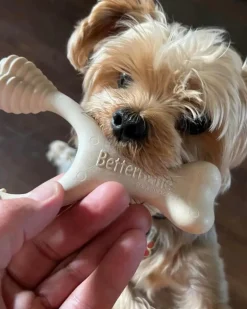 Natural Hypoallergenic Eco-Friendly Dog Chew Toy (Beef Flavor - Soft)