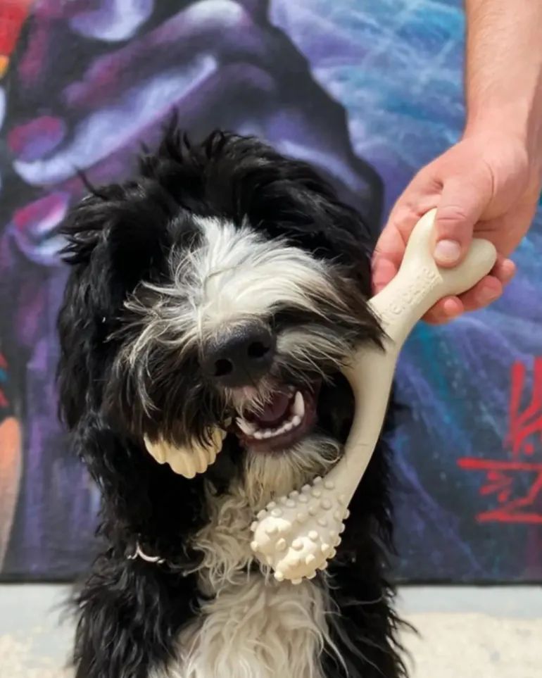 Natural Hypoallergenic Eco-Friendly Dog Chew Toy (Beef Flavor - Soft)