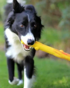Natural Rubber Twig or Stick Dog Fetch Toy (Made in the USA)