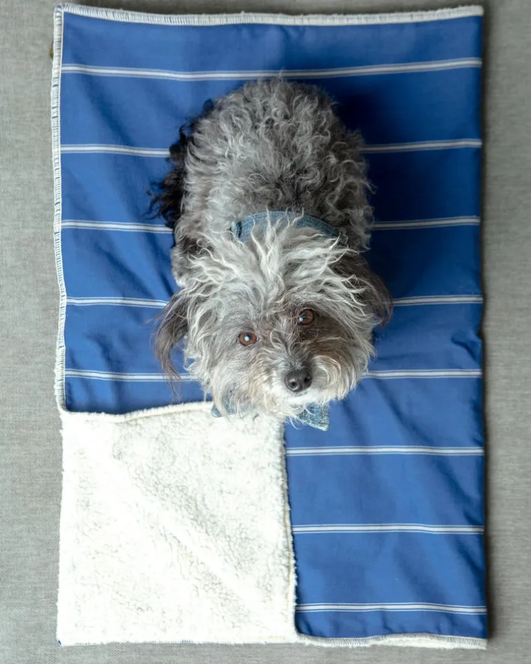 Newport Blue Stripe Blanket