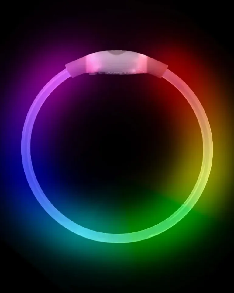 NITEHOWL® Rechargeable Led Safety Dog Necklace in Mini