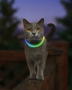 NITEMEOW® Rechargeable Led Safety Cat Necklace