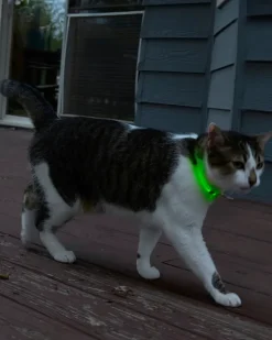 NITEMEOW® Rechargeable Led Safety Cat Necklace