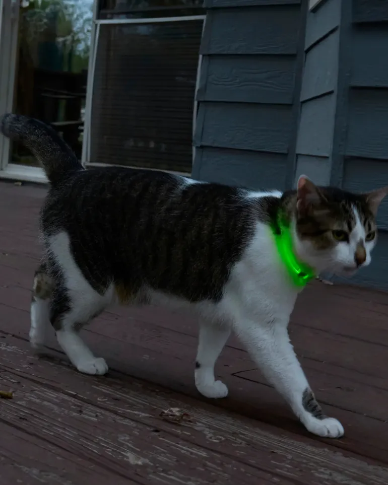 NITEMEOW® Rechargeable Led Safety Cat Necklace