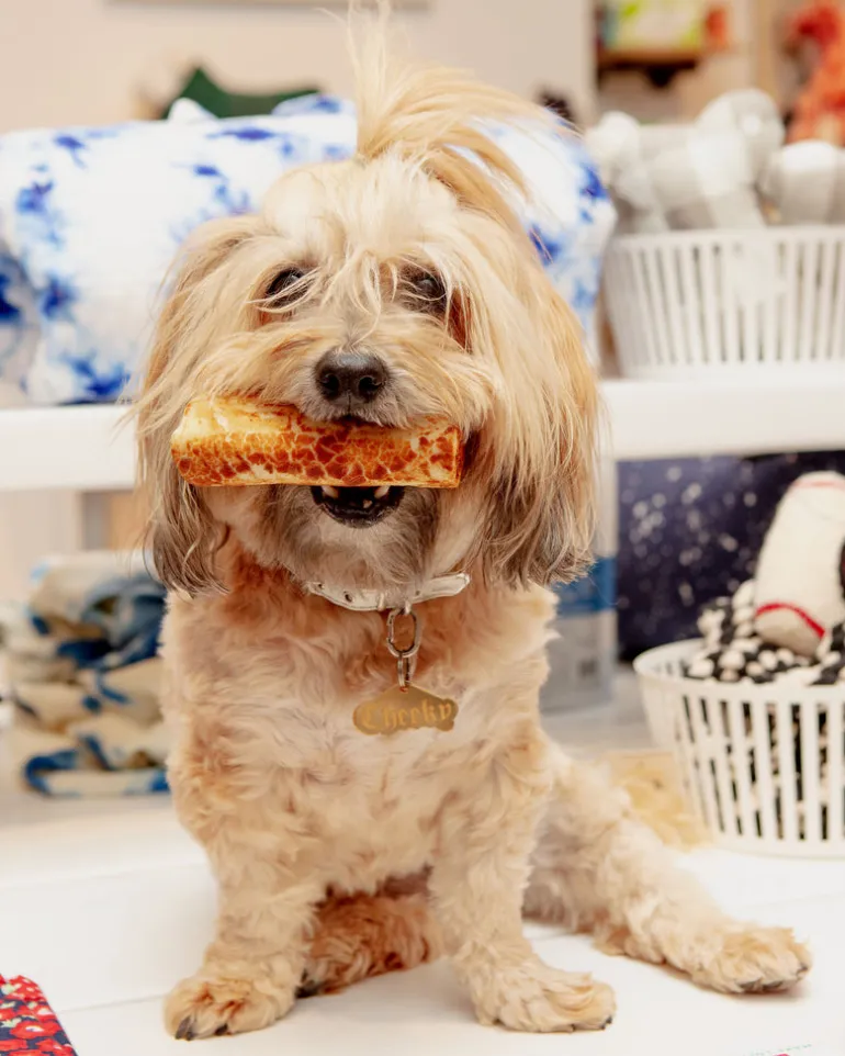 No-Hide Wholesome Dog Chew in Chicken