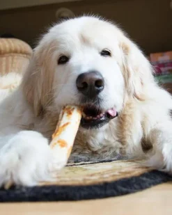 No-Hide Wholesome Dog Chew in Chicken