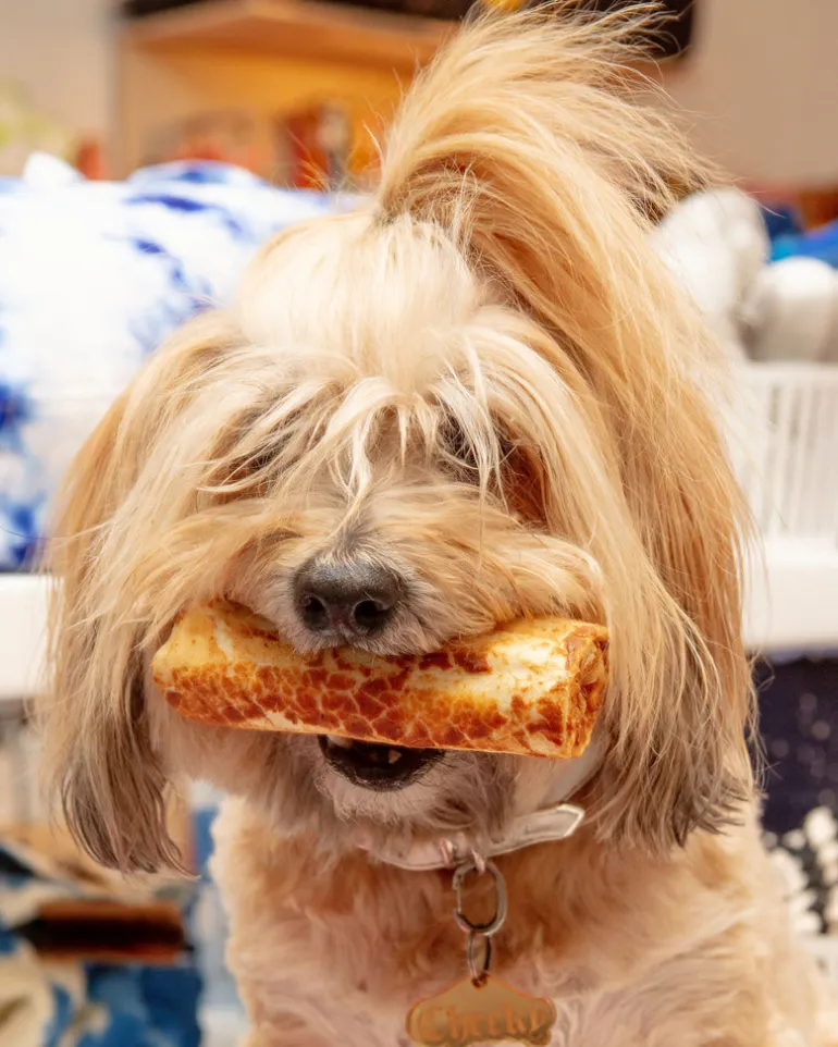 No-Hide Wholesome Dog Chew in Chicken