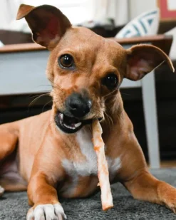 No-Hide Wholesome Dog Chew in Peanut Butter