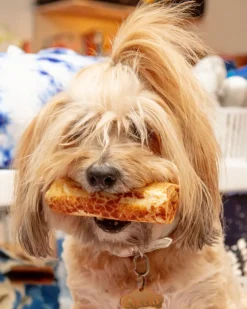 No-Hide Wholesome Dog Chew in Peanut Butter