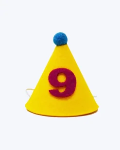 Numbered Pawty Hat (Made in the USA)