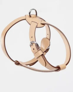 Nuvola Leather Dog Harness in Vanilla (Made in Italy)