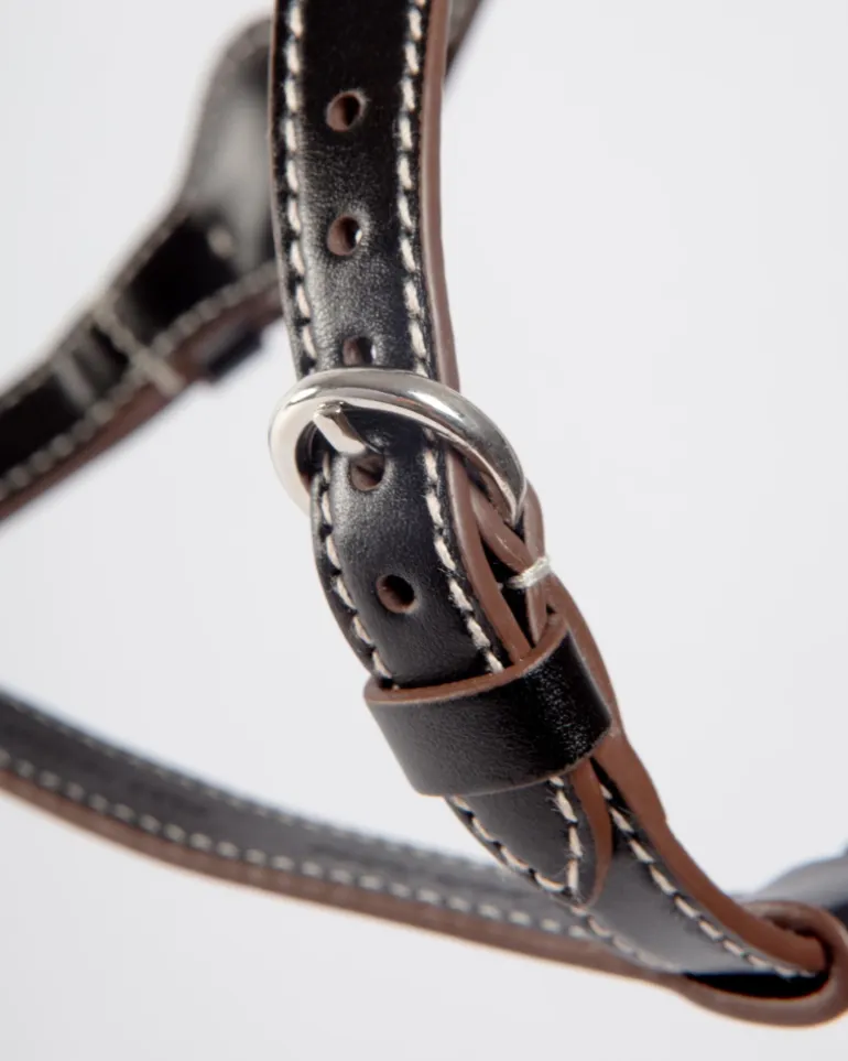 Nuvola Leather Dog Harness in Black (Made in Italy)