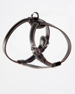 Nuvola Leather Dog Harness in Black (Made in Italy)
