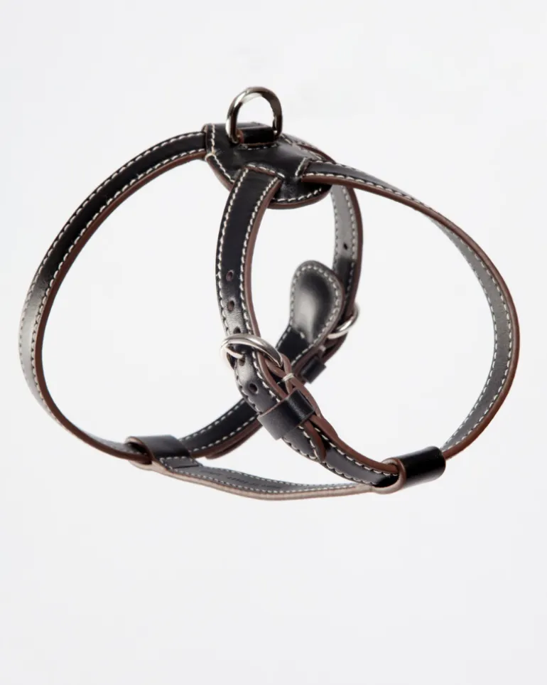 Nuvola Leather Dog Harness in Black (Made in Italy)