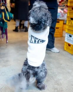 NYC Pennant Dog Sweatshirt