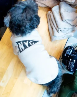 NYC Pennant Dog Sweatshirt